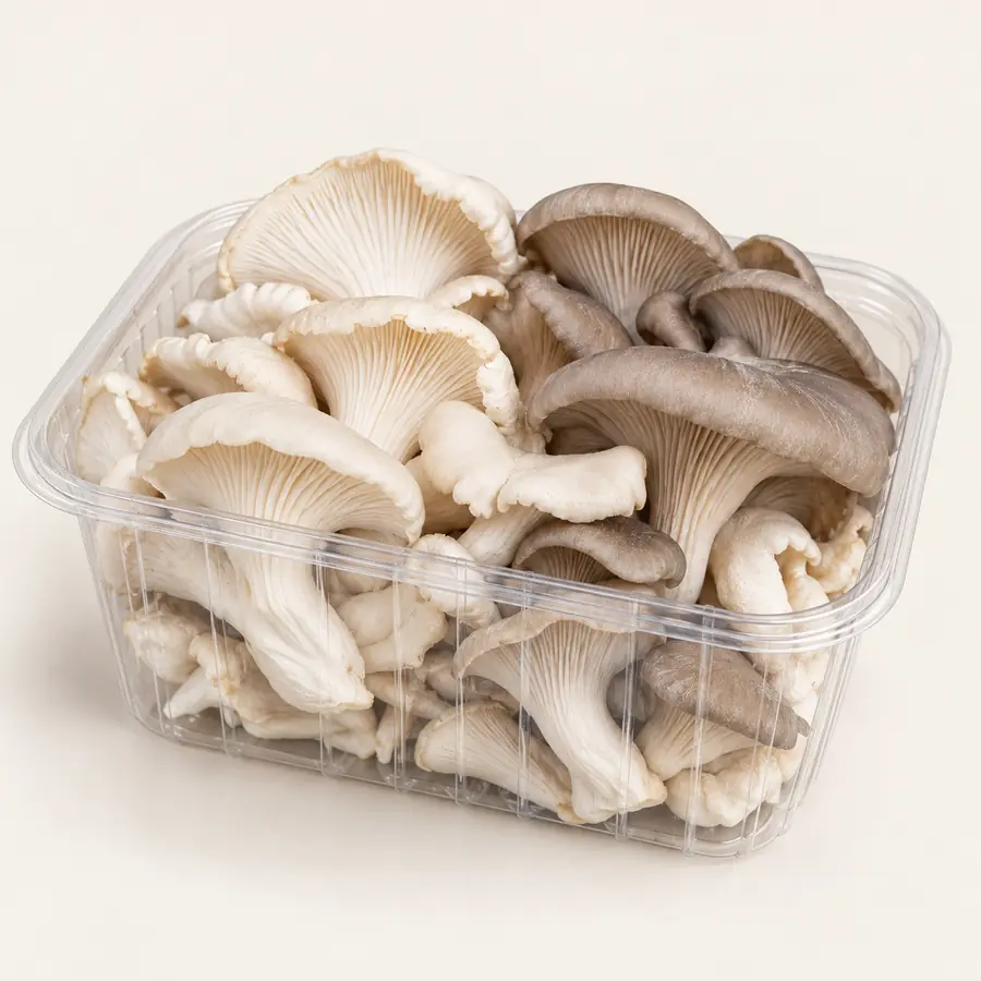 Pleurotes frais (500 g)