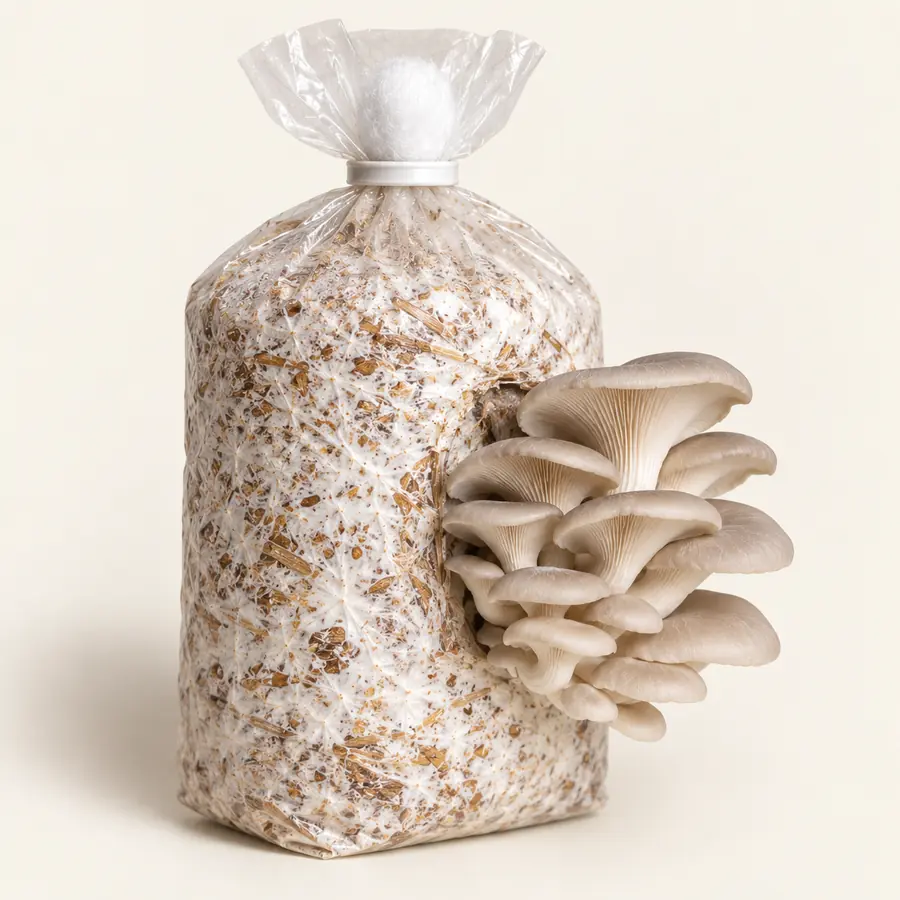 Kit de culture, prêt à pousser