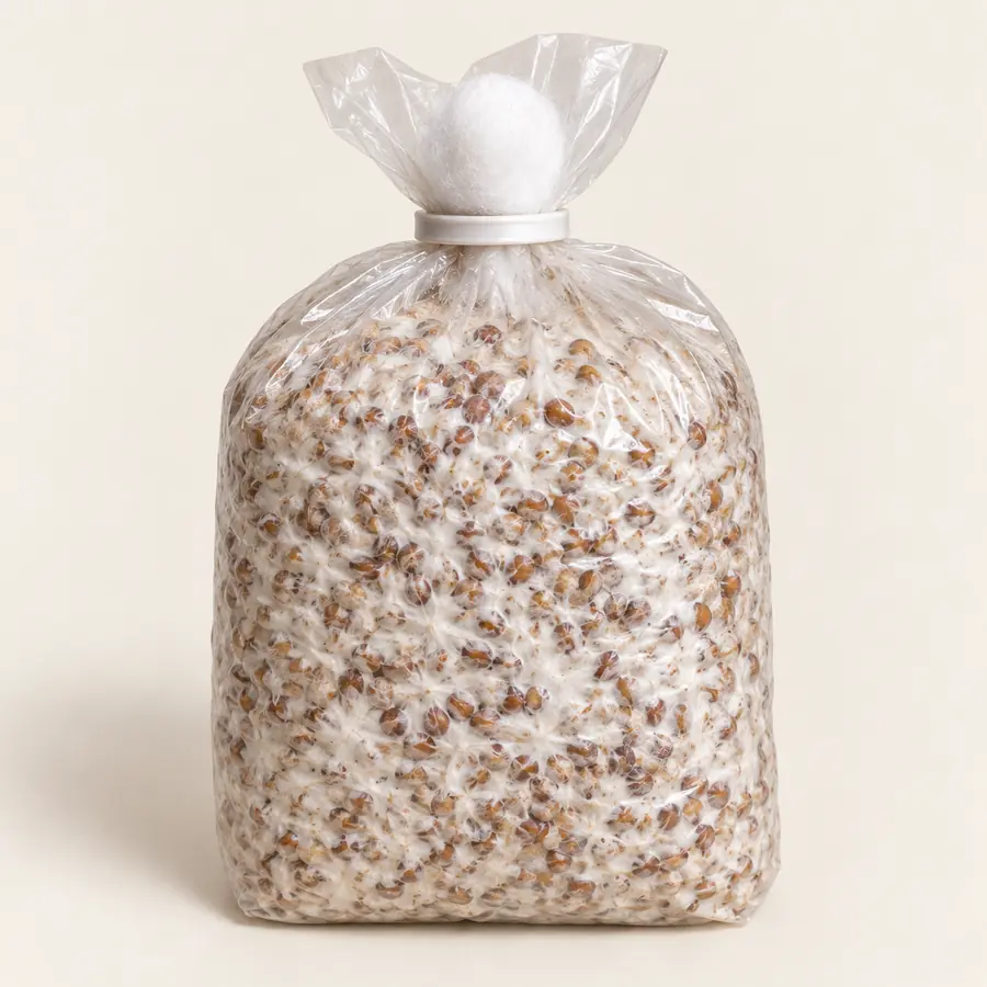 Semence de champignon (1 kg)
