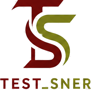 TEST_SNER