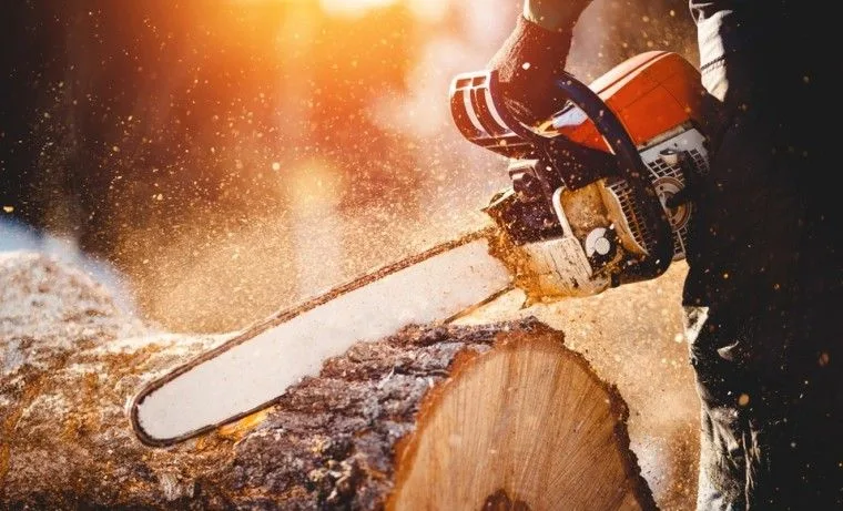 Logging